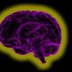 The Glymphatic System: New Discoveries On Sleep And The Aging Of The Brain